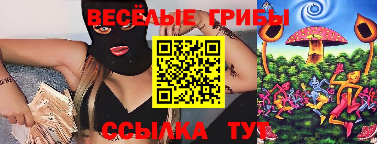 Галлюциногенные грибы Psilocybe  наркошоп  Вход с VPN  Сосновоборск  Псилоцибиновые грибы Psilocybine cubensis 