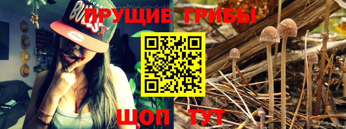 Галлюциногенные грибы мицелий Сосновоборск